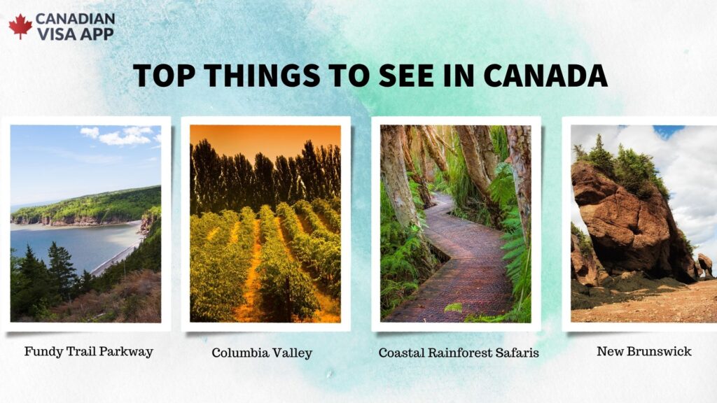 Canadian Visa App